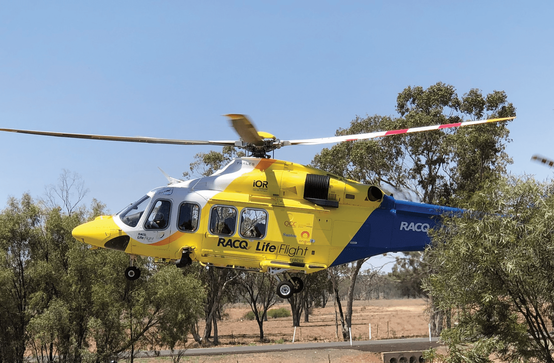 Council welcomes LifeFlight to the Roma Saleyards for Charity Sale this September!