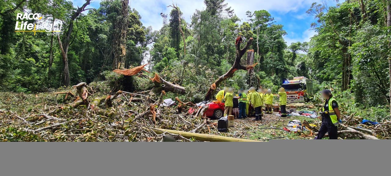 Man airlifted in a serious condition after tree crushes car - LifeFlight